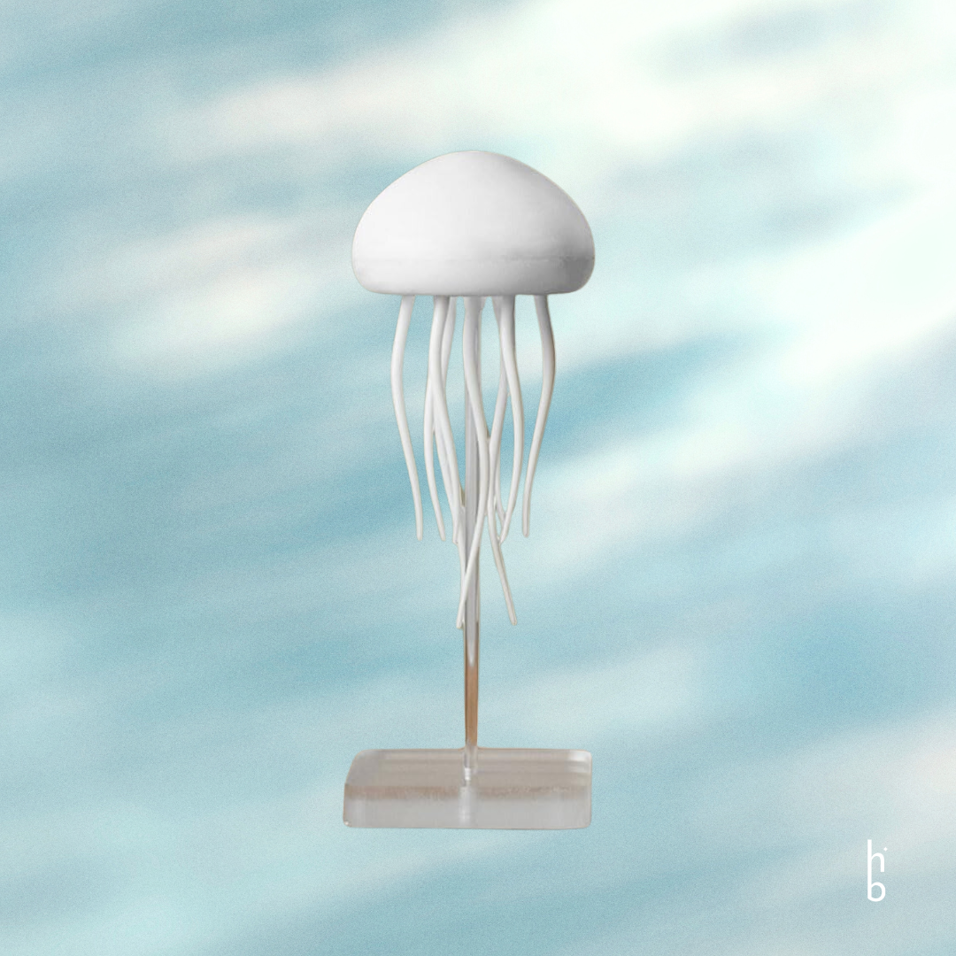 the jellyfish